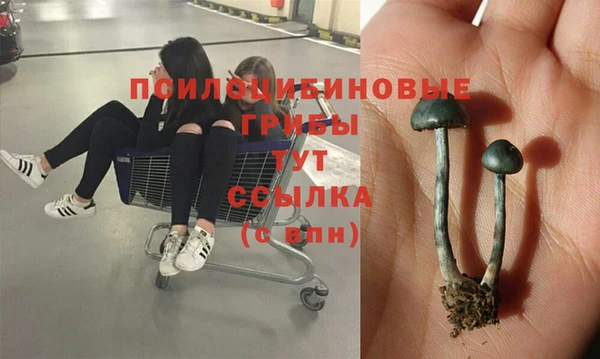 мяу мяу кристалл Алзамай